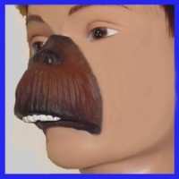 Chimp Nose